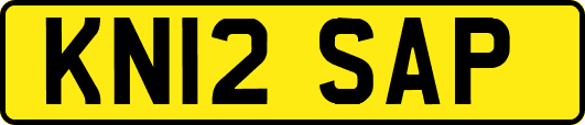 KN12SAP