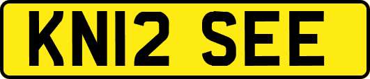 KN12SEE