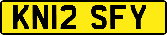 KN12SFY