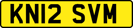 KN12SVM