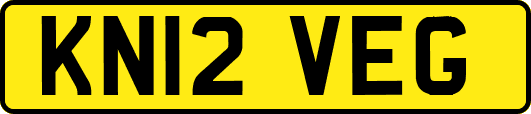 KN12VEG