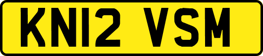 KN12VSM