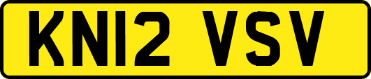 KN12VSV