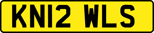 KN12WLS