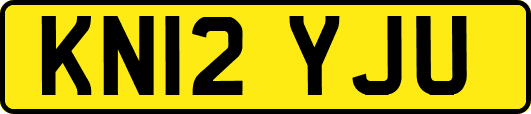 KN12YJU