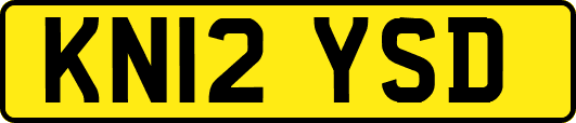 KN12YSD