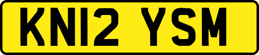 KN12YSM