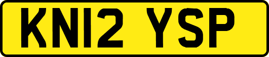 KN12YSP