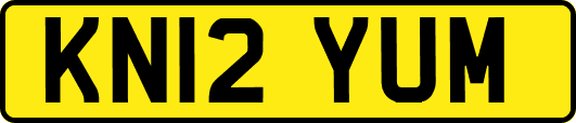 KN12YUM