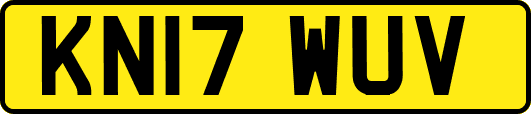 KN17WUV