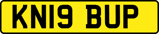 KN19BUP