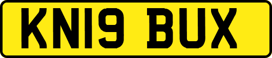KN19BUX