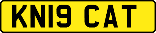 KN19CAT