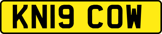 KN19COW
