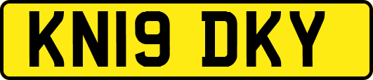 KN19DKY