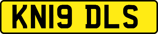 KN19DLS