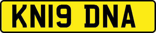 KN19DNA