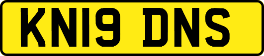 KN19DNS