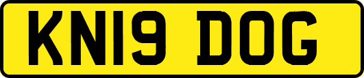 KN19DOG