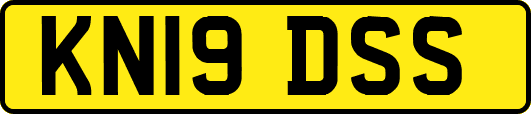 KN19DSS