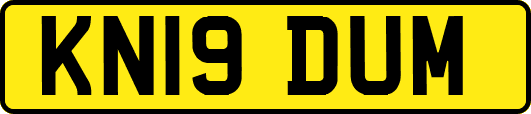 KN19DUM