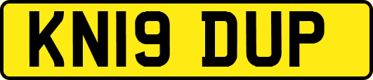 KN19DUP