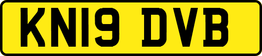 KN19DVB