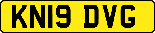 KN19DVG