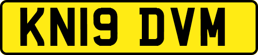 KN19DVM