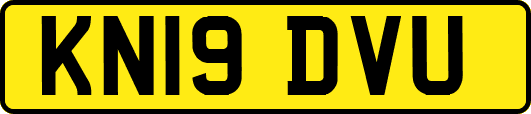 KN19DVU