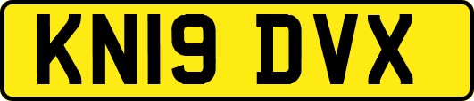 KN19DVX