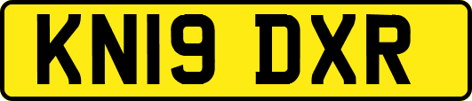 KN19DXR