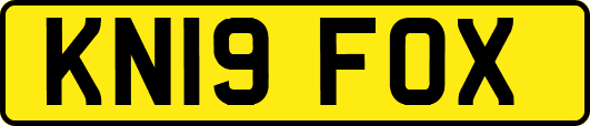 KN19FOX