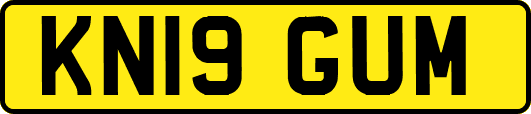 KN19GUM