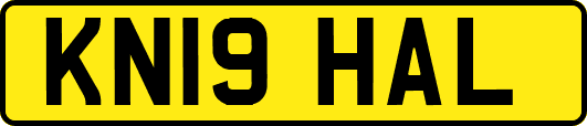 KN19HAL