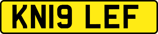 KN19LEF