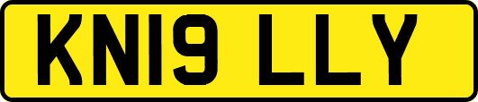 KN19LLY