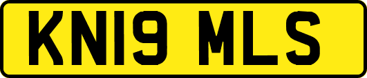 KN19MLS