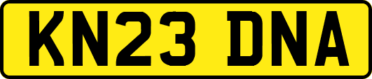KN23DNA