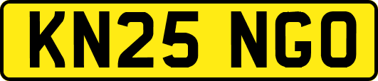 KN25NGO