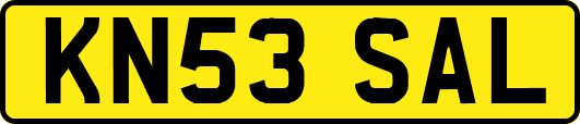 KN53SAL