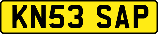 KN53SAP