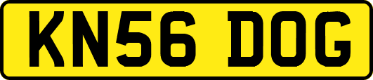 KN56DOG