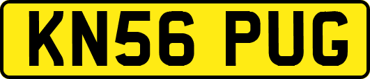 KN56PUG