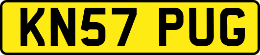 KN57PUG