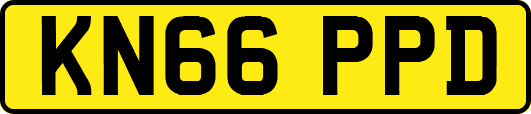 KN66PPD