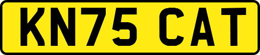 KN75CAT