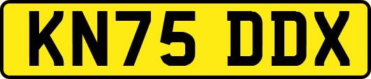 KN75DDX