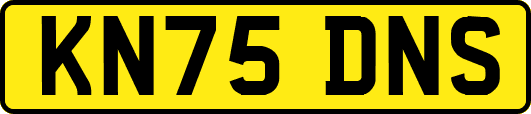 KN75DNS