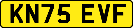 KN75EVF